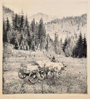 Dudás Jenő (1902-1991): Hegyi táj. Rézkarc, papír, jelzett, kartonra kasírozva, lap széle kissé foltos, 31×29,5 cm