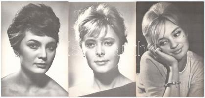 7 db MODERN nagy méretű motívum képeslap: cseh színészek / 7 modern big-sized motive postcards: Czec...