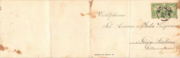 Kőhalom, Reps, Rupea; vár. Két részes kinyitható panorámalap / castle. 2-tiled folding panoramacard ...