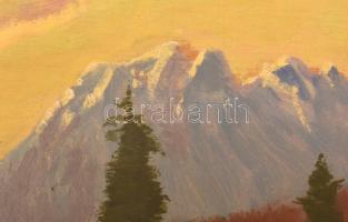Katona Nándor (1864-1932): Gerlachfalvi-csúcs
(Felvidéki / Tátrai táj). Olaj, falemez, jelzett. Fa ...