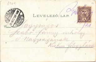 1901 Kőszeg, látkép. Róth Jenő kiadása (EK)