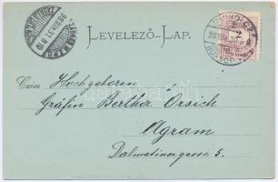 1898 Diósgyőr (Miskolc), várrom este. Ferenczi B. kiadása (EK)