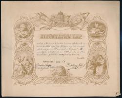 1881-82 2 db gazdagon illusztrált, címeres iskolai kitüntetési lap, Bp., V. ker, 19x23,5 cm