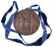 DN "Custodes Vinorum de Villány" Br plakett, füllel szalagon. Szign.: TF (100mm) T:1-