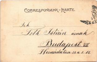 1904 Baden bei Wien, Bade- u. Heilanstalt im Curpark / spa, bath, fountain. Verlag Ferd. Mohr (worn ...