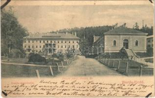 1900 Bártfa, Bártfafürdő, Bardejovské Kúpele, Bardiov, Bardejov; Deák szálloda. Divald Adolf 31. / hotel (ragasztónyom / glue marks)