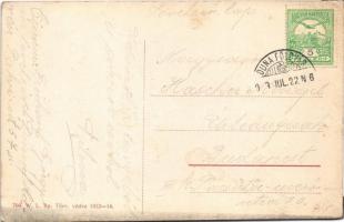 1913 Dunaföldvár, Dunasor, Stefánia kert (Nagy Imréné vendéglője), lovaskocsi. W.L. Bp. 704. (ragasz...