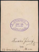 1908 Traxler József Máramarosi amatőr fotó szaküzlet pecséttel ellátott fotó. 9x12 cm
