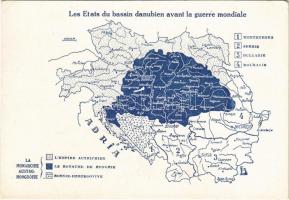 Les Etats du bassin danubien avant la guerre mondiale / Magyarország feldarabolása nemcsak kegyetlen és igazságtalan, hanem szánalmasan oktalan cselekedet volt, amely Közép-Európának létalapját gyökerében tette tönkre. Kiadja a Magyar Nemzeti Szövetség / Hungarian irredenta propaganda, Trianon (EK)