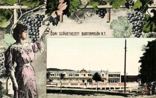 Eger bortermelő szövetkezet