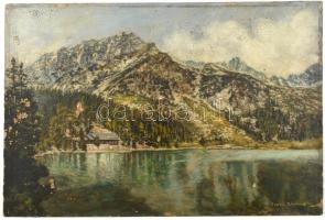Csanits Nándor (?-?), működött a XX. sz. első felében: Hegyvidéki tó, 1929. Olaj, karton. Sérült. 34x50 cm.