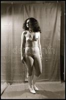 cca 1975 Necces, Vincze János (1922-1999) kecskeméti fotóművész hagyatékából 4 db vintage NEGATÍV ak...