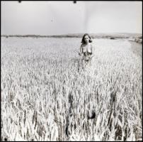 Szép emlékül, több fotómodellről, különböző időpontokban és eltérő helyszíneken készült aktfelvétele...