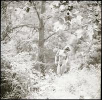 Válogatás 10 év aktfotóiból, több fotómodellről, különböző időpontokban és eltérő helyszíneken készü...