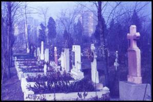 1978 Kecskeméti városképek, Vincze János (1922-1999) kecskeméti fotóművész hagyatékából 43 db vintag...