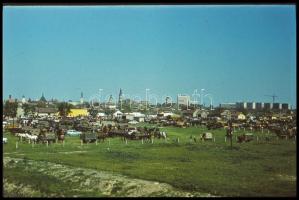 1978 Kecskeméti városképek, Vincze János (1922-1999) kecskeméti fotóművész hagyatékából 43 db vintag...