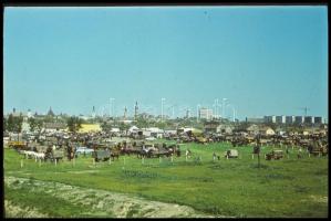 1978 Kecskeméti városképek, Vincze János (1922-1999) kecskeméti fotóművész hagyatékából 43 db vintag...