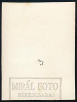 cca 1940 Szélmalom Hódmezővásárhely határában, Thöresz Dezső (1902-1963) békéscsabai gyógyszerész és...