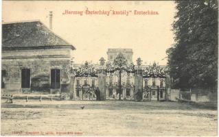 1906 Eszterháza (Fertőd), Herceg Esterházy kastély