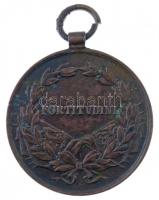 1917. "Bronz Vitézségi Érem IV. Károly / Fortitudini" Br kitüntetés mellszalag nélkül. Szi...