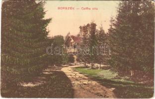 1912 Borszék, Borsec; Cziffra villa. Pollatschek Gyula kiadása