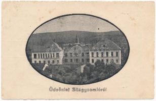 1940 Szilágysomlyó, Silágysomló, Simleu Silvanie; Főgimnázium / grammar school + M. KIR. 2. Ö. DD. VONAT PARANCSNOKSÁG ELLENŐRIZVE!