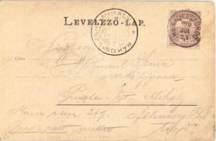 1900 Mehádia, vízesés. Raichl Sándor junior kiadása / waterfall (EK)