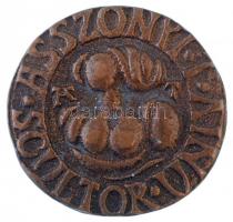 Asszonyi Tamás (1942-) 2000. "ASSZONYI SCULTOR UNIV / SZT. ENDRE - LUKÁCS FIV. ÚTJA 5." ké...