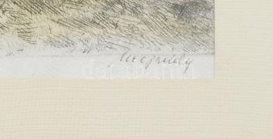 Neogrády jelzéssel: Libapásztorlány. Színezett rézkarc, selyem, üvegezett fa keretben, 29×38,5 cm