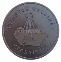 ~2010. "Magyar Kaszinók - Casinos Hungary / Forintos kaszinók megnyitása" Br emlékérem dís...