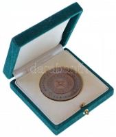 ~2010. "Magyar Kaszinók - Casinos Hungary / Forintos kaszinók megnyitása" Br emlékérem dís...