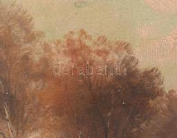 K Spányi B jelzéssel: Gólya a nádasban. Olaj, karton.Dekoratív, kissé sérült fa keretben, 24,5x34 cm