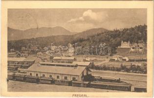 1914 Predeál, Predeal; vasútállomás, vonat, nyaralók / railway station, train, villas