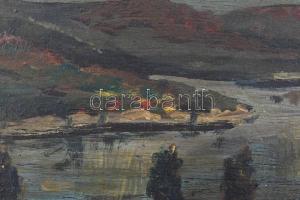 Szőnyi I jelzéssel: Táj. Olaj, fa. Fa keretben, 20x30 cm