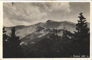 1944 Borsafüred, Borsa; Radnai-havasok, Ünőkő / Muntii Rodnei, Varful Ineu / mountain peak (fa)