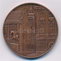 Fritz Mihály (1947-) / Szabó Géza (1939-) 1995. "MÉE Székesfehérvár - XXV. Vándorgyűlés" B...