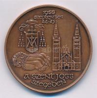 Fritz Mihály (1947- ) 1988. "A Szent Jobb Szegeden" Br emlékérem (42,5mm) T:1-  Adamo SG22