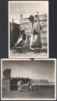 Kankowszky Ervin (1884-1945) : 5 db hortobágyi pásztor idillt ábrázoló, pecséttel jelzett, vintage fotóművészeti alkotás. 21x17 cm
