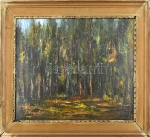 L de Paál jelzéssel: Erdő. Olaj, farost. Kissé sérült, részben javított fa keretben. 40x50 cm