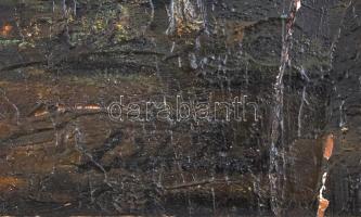 L de Paál jelzéssel: Erdő. Olaj, farost. Kissé sérült, részben javított fa keretben. 40x50 cm