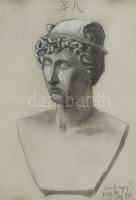 Weinberger Gusztáv - 7 db tanulmány, szén, fedőfehér, papír. Jelzett, sérült, keret nélkül. 47x32 cm...