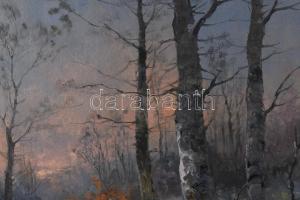 K Spányi B jelzéssel: Derengő fények. Olaj, vászon. Restaurált. Dekoratív fa keretben. 69,5x56 cm