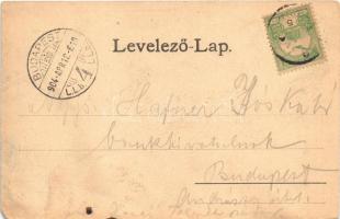 1904 Pécs, Rácváros, Pompár Izidór vendéglője a Fehér Hollóhoz, bejárat, belső. Art Nouveau, floral ...