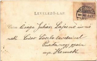 1900 Budapest XX. Pestszenterzsébet, Pesterzsébet, Erzsébetfalva; Jegyzői lak, villák, Erzsébet fürd...