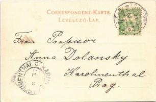 1901 Budapest VIII. Kerepesi út (Rákóczi út), Nemzeti Színház, villamos, Hollandi Életbiztosító Rész...