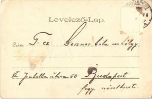 1900 Budapest XIV. Városliget, Vajdahunyad vára. Kunstanstalt "Kosmos" S. IX. litho (EB)