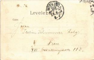 1900 Budapest V. Duna részlet a budai látképpel, rakpart, gőzhajó. Ganz Antal 320. litho (EK)