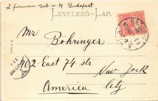 1902 Budapest I. Kilátás a várból, Lánchíd (EK)