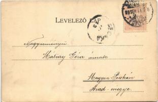 1899 Budapest XIII. Vígszínház. Károlyi György kiadása (kis szakadás / small tear)