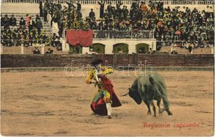 1921 Regaterin capeando / bikaviadal / bullfighting (EK)